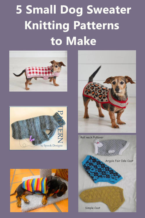 5 Small Dog Sweater Knitting Patterns to Make